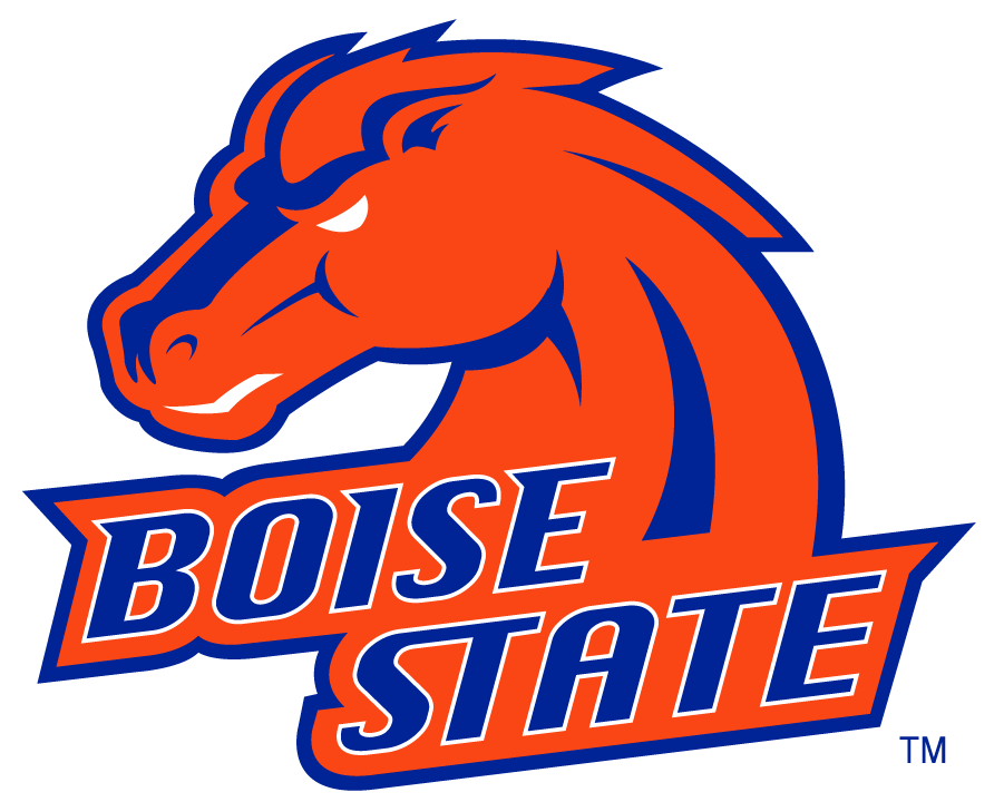 Boise State Broncos 2002-2012 Alternate Logo v3 diy iron on heat transfer